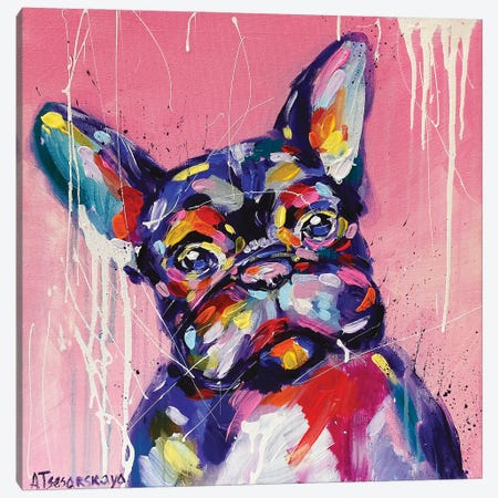 Adorable French Bulldog Canvas Print #AKT42} by Aliaksandra Tsesarskaya Canvas Art