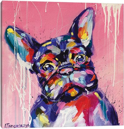 Adorable French Bulldog Canvas Art Print - Aliaksandra Tsesarskaya