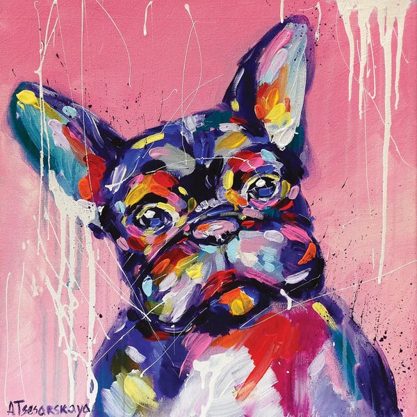 French Bulldogs: Adorable French Bulldog by Aliaksandra Tsesarskaya