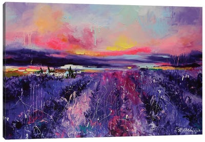 Lavander Field Canvas Art Print - Lavender Art