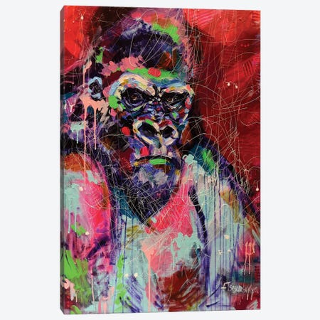 King Kong Canvas Print #AKT91} by Aliaksandra Tsesarskaya Canvas Art Print