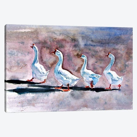 Walking Geese Canvas Print #AKV101} by Anna Brigitta Kovacs Canvas Art Print