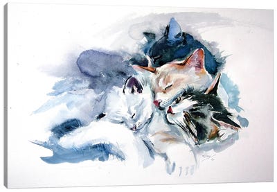 Sleeping Cats Canvas Art Print - Sleeping & Napping Art