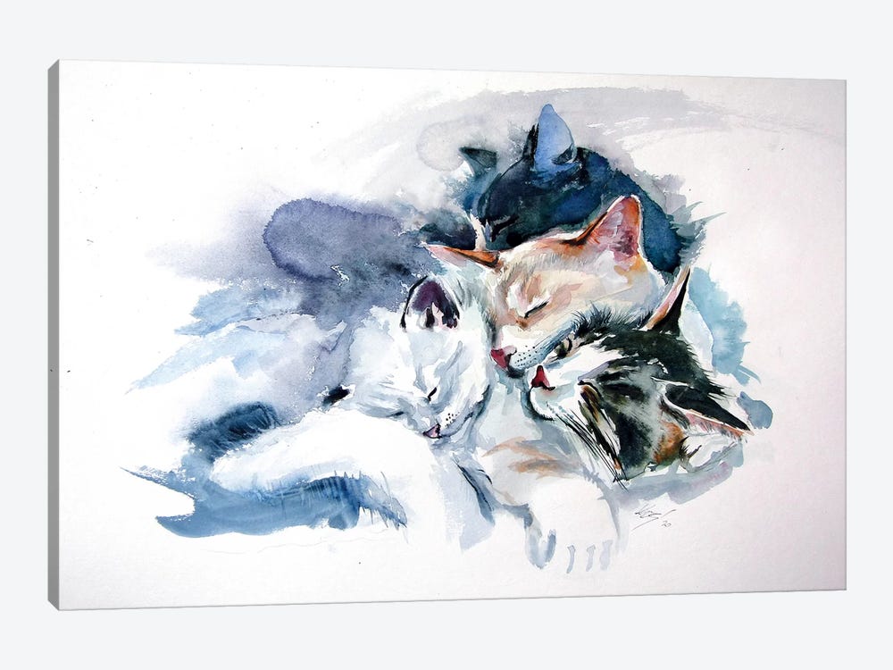 Sleeping Cats by Anna Brigitta Kovacs 1-piece Canvas Print