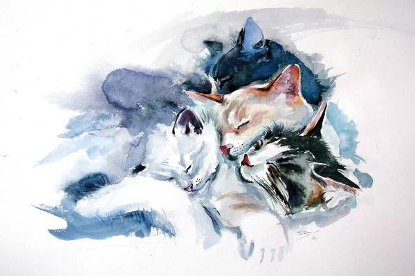 Anna Brigitta Kovacs: Sleeping Cats by Anna Brigitta Kovacs