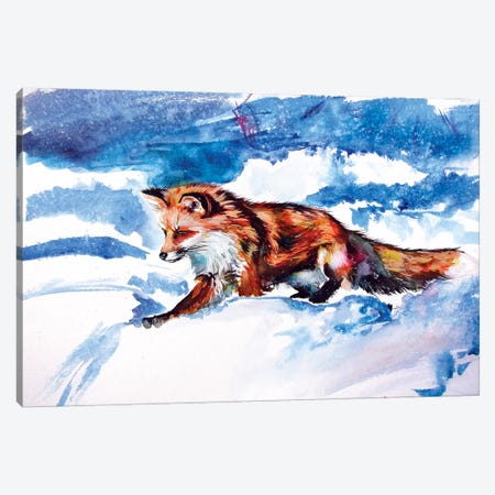 Red Fox In Snow Canvas Print #AKV104} by Anna Brigitta Kovacs Canvas Art
