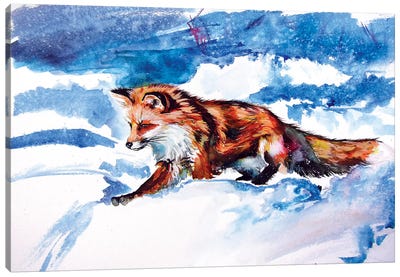 Red Fox In Snow Canvas Art Print - Anna Brigitta Kovacs