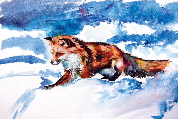 Foxes: Red Fox In Snow by Anna Brigitta Kovacs