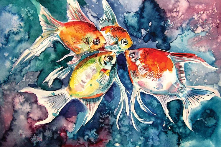 Colorful Fish