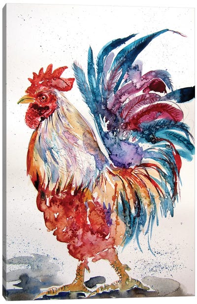 Rooster In The Yard II Canvas Art Print - Anna Brigitta Kovacs