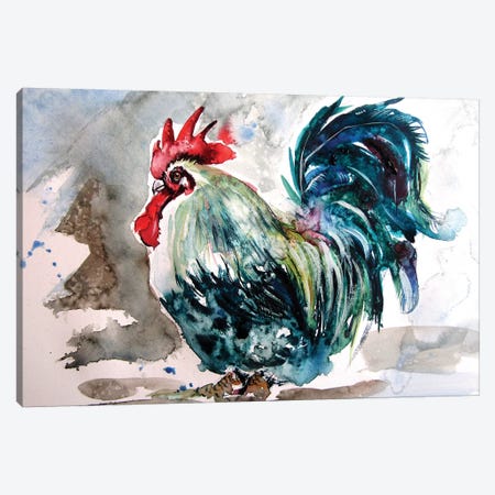 Rooster In The Yard III Canvas Print #AKV108} by Anna Brigitta Kovacs Canvas Art Print