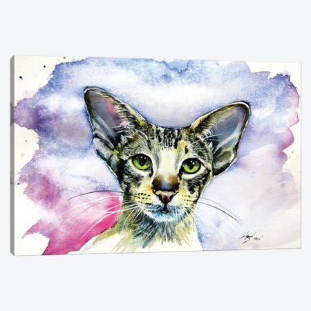Cute Cat/Siamese Oriental Cat Canvas Print #AKV109} by Anna Brigitta Kovacs Art Print