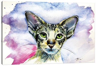 Cute Cat/Siamese Oriental Cat Canvas Art Print - Anna Brigitta Kovacs