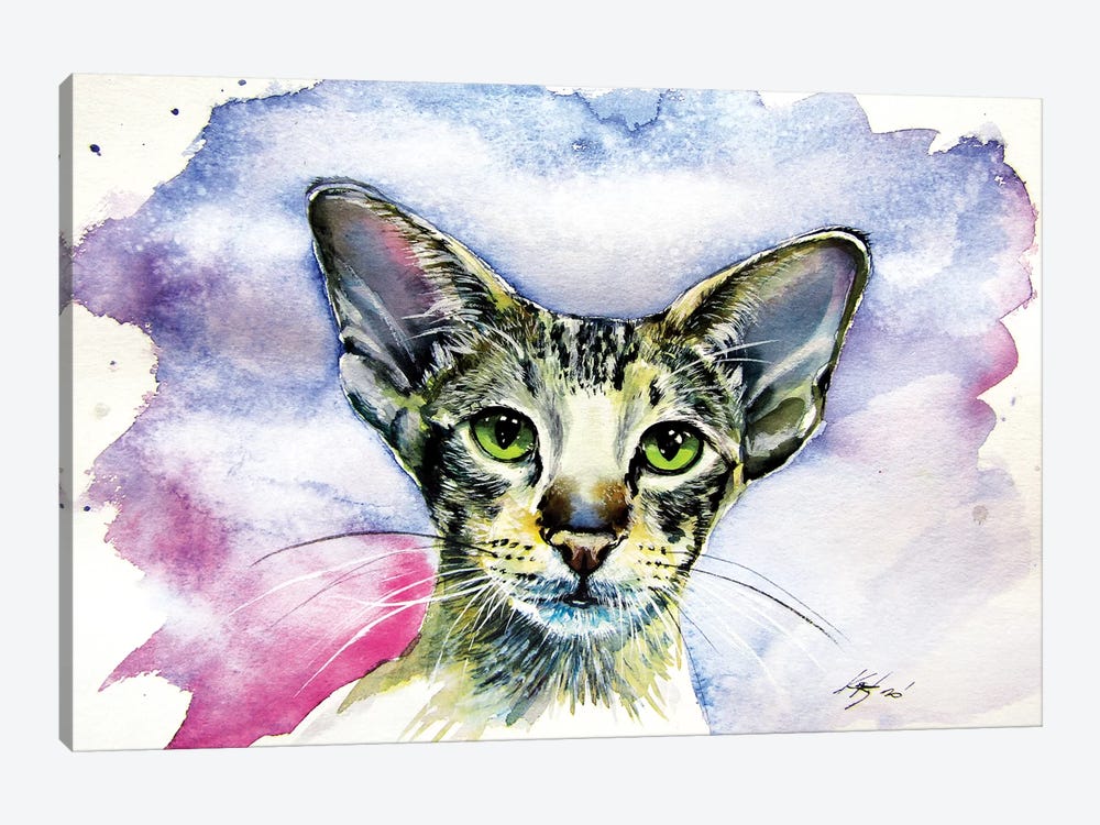 Cute Cat/Siamese Oriental Cat by Anna Brigitta Kovacs 1-piece Canvas Art