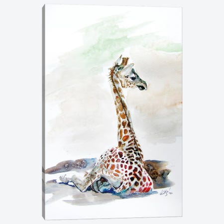 Sitting Giraffe Canvas Print #AKV112} by Anna Brigitta Kovacs Canvas Artwork