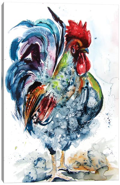 Proud Rooster Canvas Art Print - Anna Brigitta Kovacs