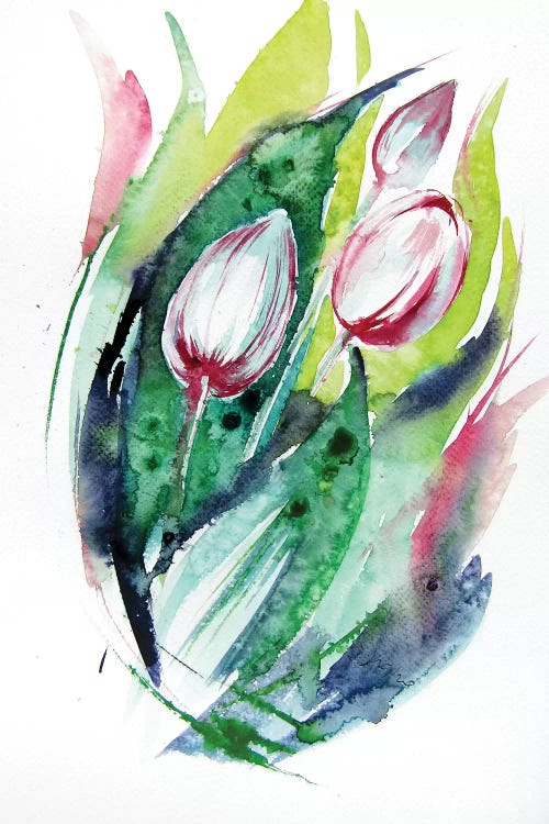 Tulips