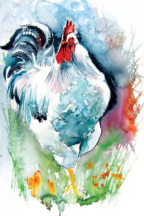 White Rooster