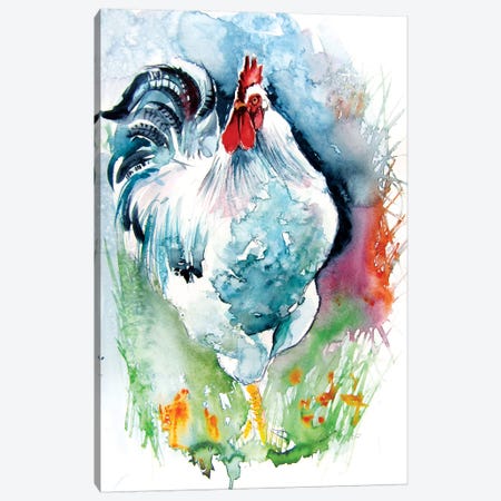 White Rooster Canvas Print #AKV117} by Anna Brigitta Kovacs Canvas Art Print