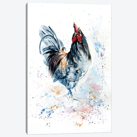 Young Rooster Canvas Print #AKV118} by Anna Brigitta Kovacs Canvas Artwork