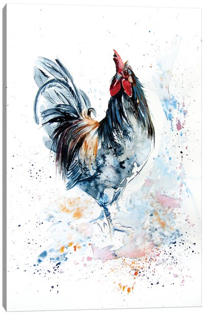 Young Rooster Canvas Art Print - Anna Brigitta Kovacs