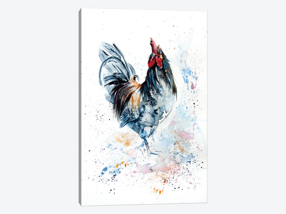 Young Rooster by Anna Brigitta Kovacs 1-piece Canvas Artwork