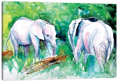 Elephants Meeting Canvas Art Print - Anna Brigitta Kovacs