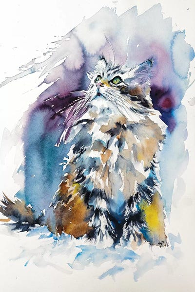 Cat On The Snow by Anna Brigitta Kovacs acrylic art print