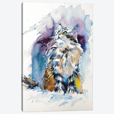 Cat On The Snow Canvas Print #AKV12} by Anna Brigitta Kovacs Art Print