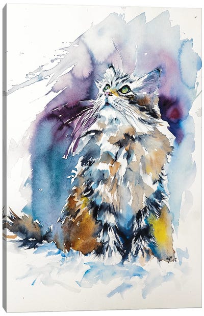 Cat On The Snow Canvas Art Print - Anna Brigitta Kovacs