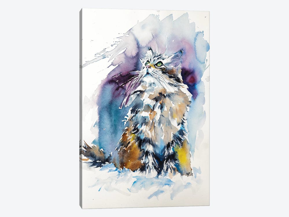 Cat On The Snow by Anna Brigitta Kovacs 1-piece Canvas Art Print