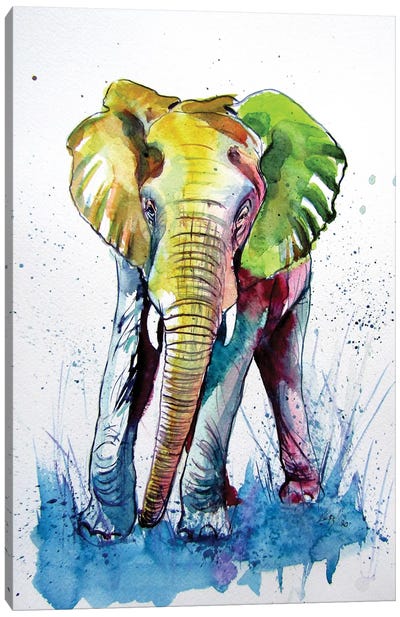 Happy Elephant Canvas Art Print - Anna Brigitta Kovacs