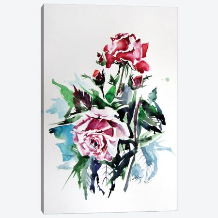 Roses Canvas Print #AKV133} by Anna Brigitta Kovacs Canvas Art
