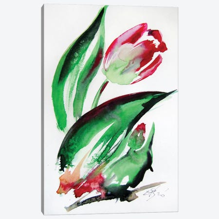 Little Tulips II Canvas Print #AKV138} by Anna Brigitta Kovacs Canvas Artwork