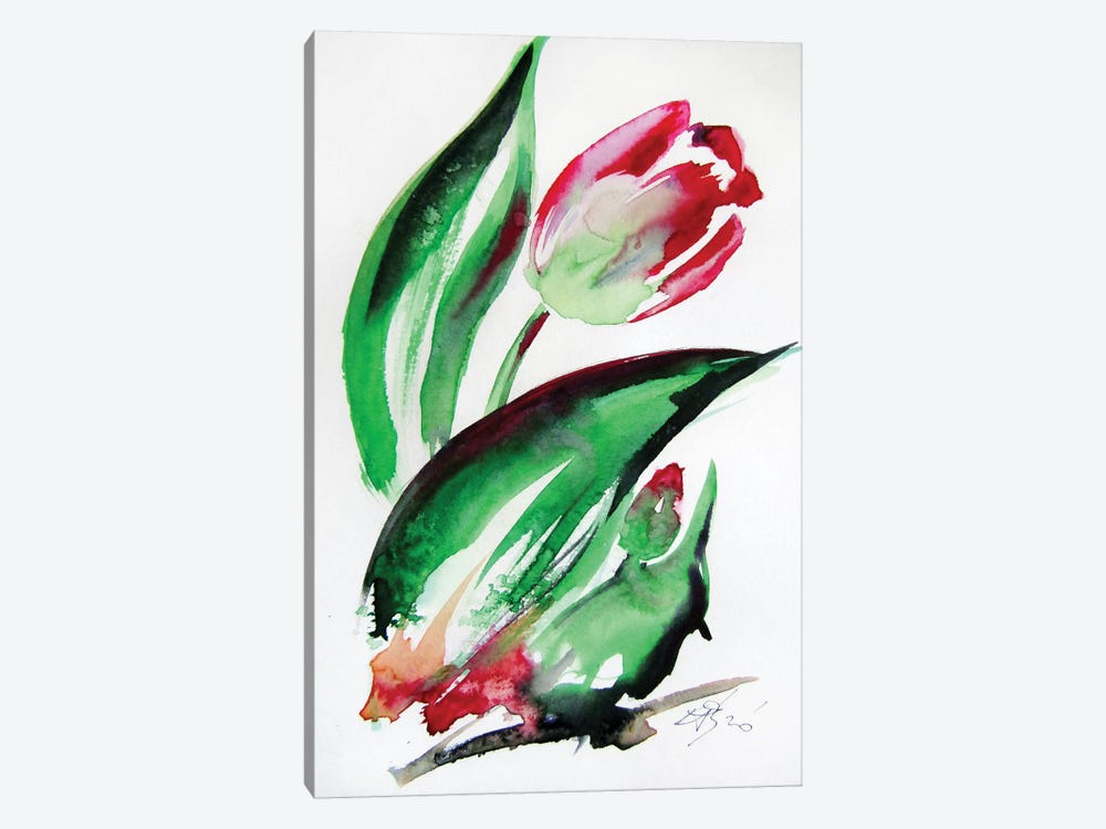 Little Tulips II by Anna Brigitta Kovacs 1-piece Canvas Wall Art