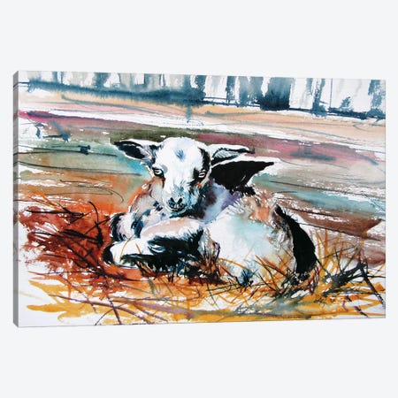 Baby Goat Canvas Print #AKV139} by Anna Brigitta Kovacs Canvas Wall Art