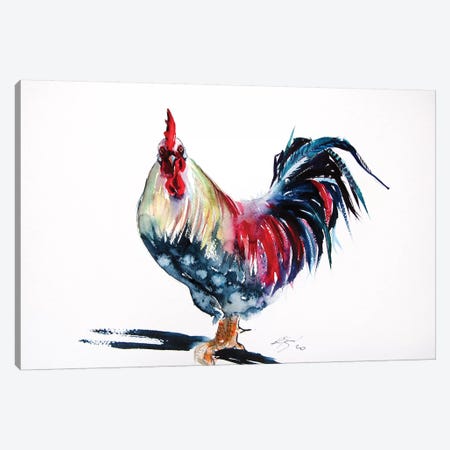 Colorful Rooster II Canvas Print #AKV141} by Anna Brigitta Kovacs Canvas Print