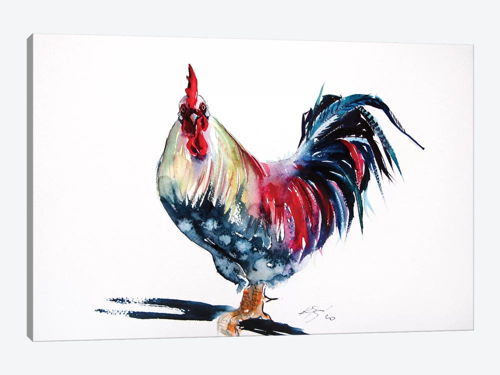 Colorful Rooster II by Anna Brigitta Kovacs 1-piece Canvas Artwork