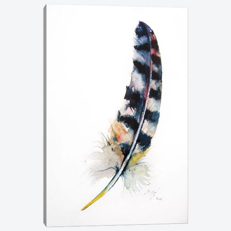 Feather Canvas Print #AKV143} by Anna Brigitta Kovacs Canvas Print