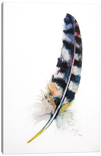 Feather Canvas Art Print - Anna Brigitta Kovacs