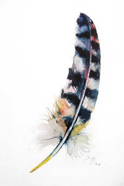 Anna Brigitta Kovacs: Feather by Anna Brigitta Kovacs