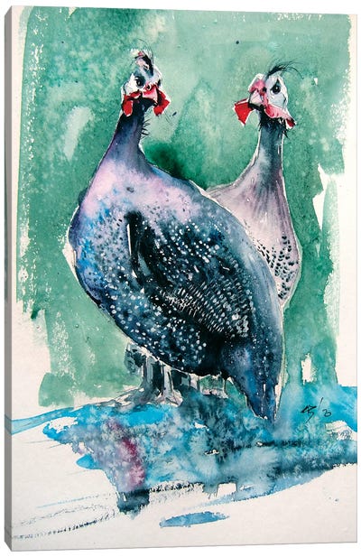 Guinea Fowl Canvas Art Print - Anna Brigitta Kovacs