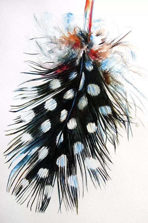 Feather II by Anna Brigitta Kovacs wall art