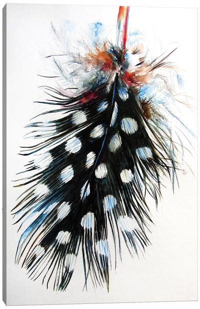 Feather II Canvas Art Print - Feather Art