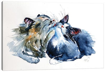 Cats Canvas Art Print - Anna Brigitta Kovacs