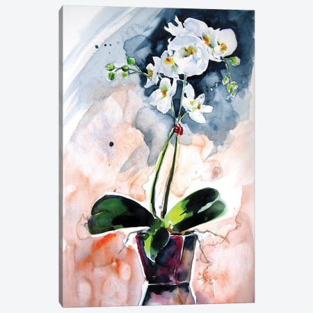 Orchidea Still Life Canvas Print #AKV150} by Anna Brigitta Kovacs Canvas Wall Art
