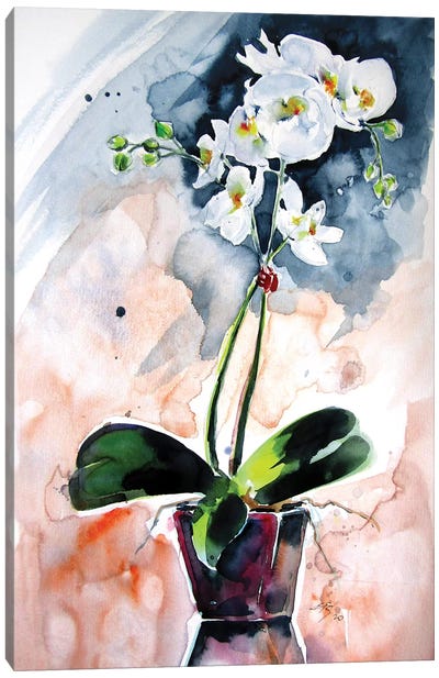 Orchidea Still Life Canvas Art Print - Anna Brigitta Kovacs