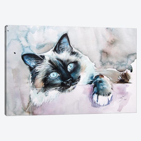 Playing Cat II Canvas Print #AKV152} by Anna Brigitta Kovacs Canvas Artwork