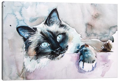 Playing Cat II Canvas Art Print - Anna Brigitta Kovacs