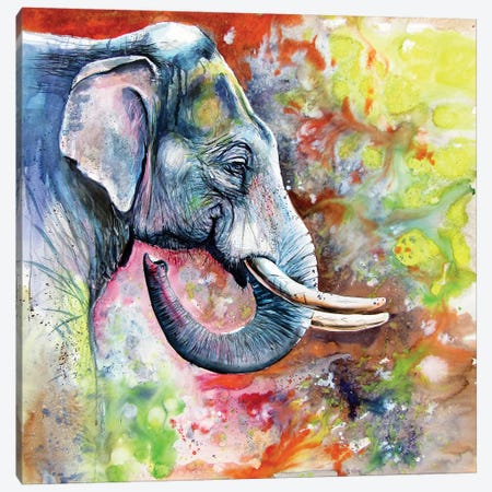 Beautiful Elephant Canvas Print #AKV155} by Anna Brigitta Kovacs Art Print